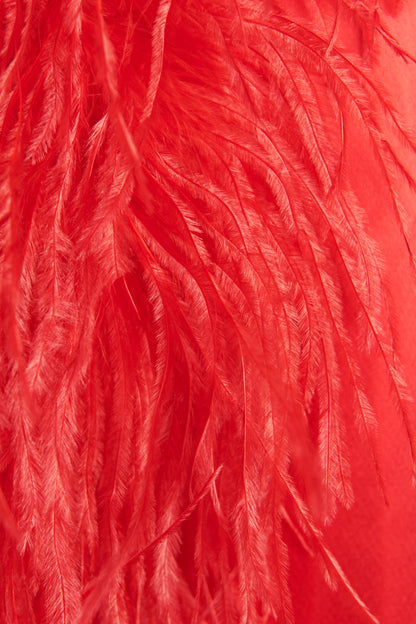 Red Yoshina Feather Preowned Dress