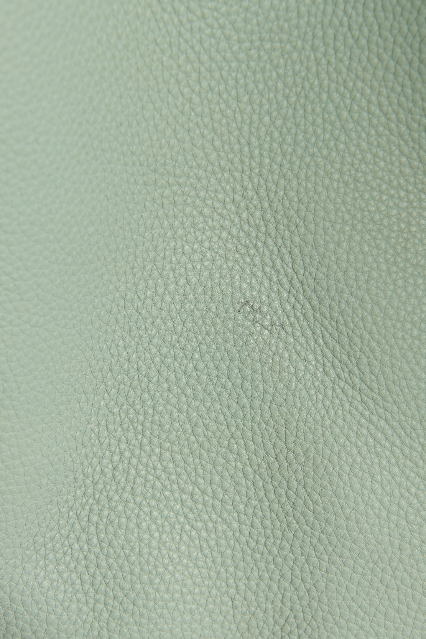 2016 Jade Grained Calfskin Preowned Medium Phantom Bag