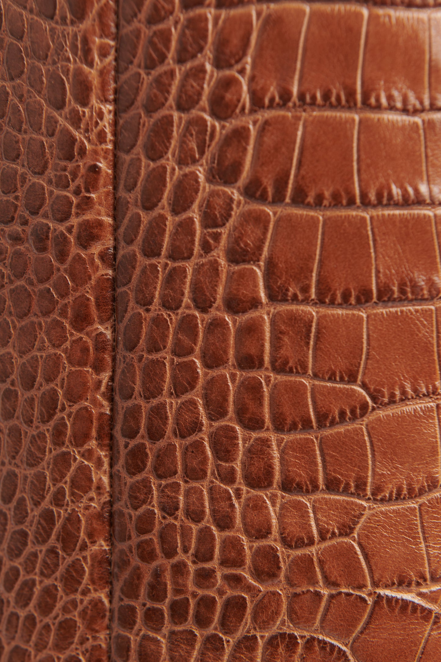 Brown Leather Croc Embossed Preowned Pointed Toe Boots